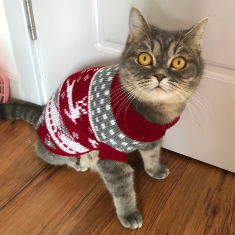 Cozy Winter Cat Sweater