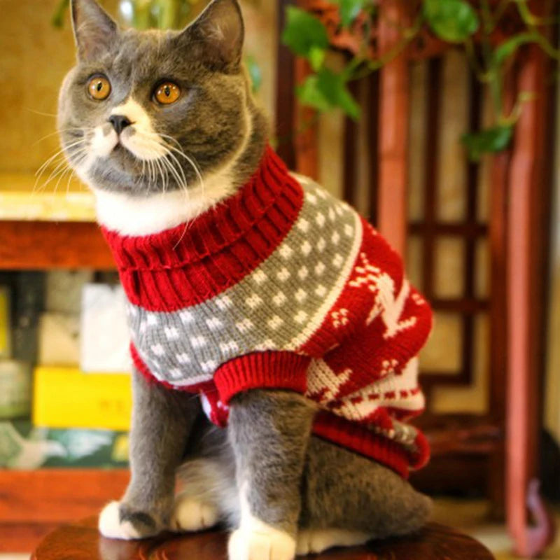 Cozy Winter Cat Sweater