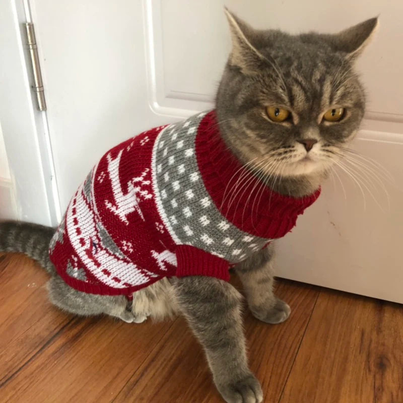 Cozy Winter Cat Sweater
