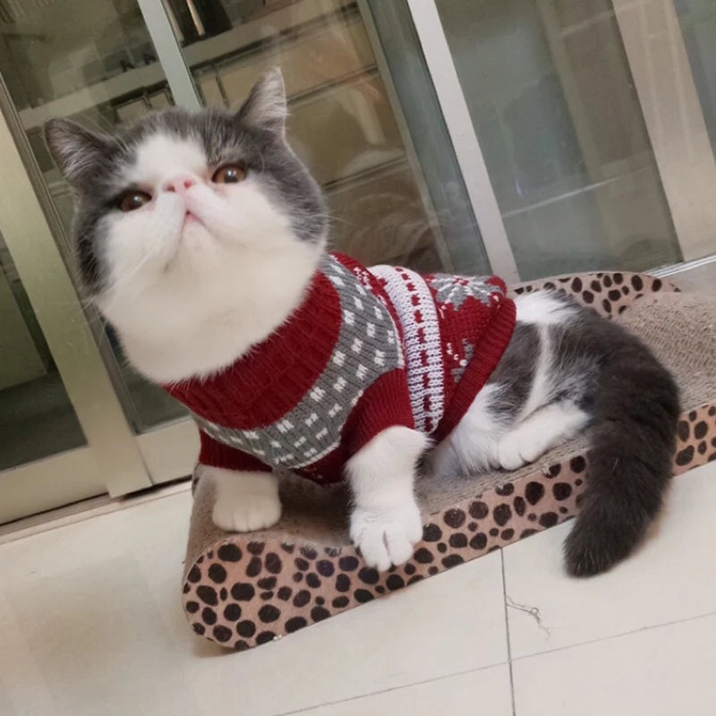 Cozy Winter Cat Sweater