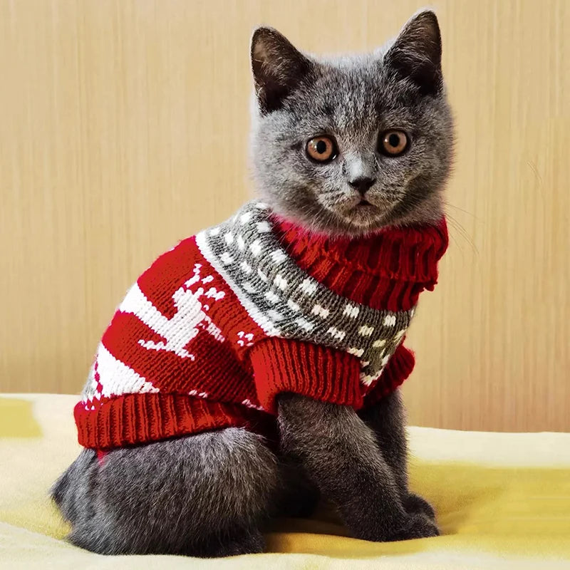 Cozy Winter Cat Sweater