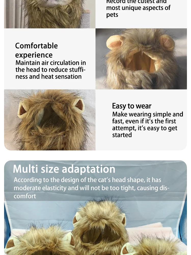 Lion Costume