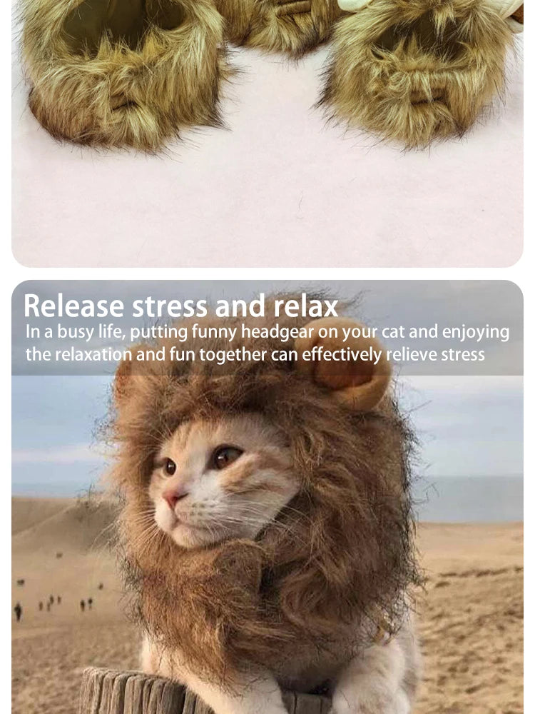 Lion Costume