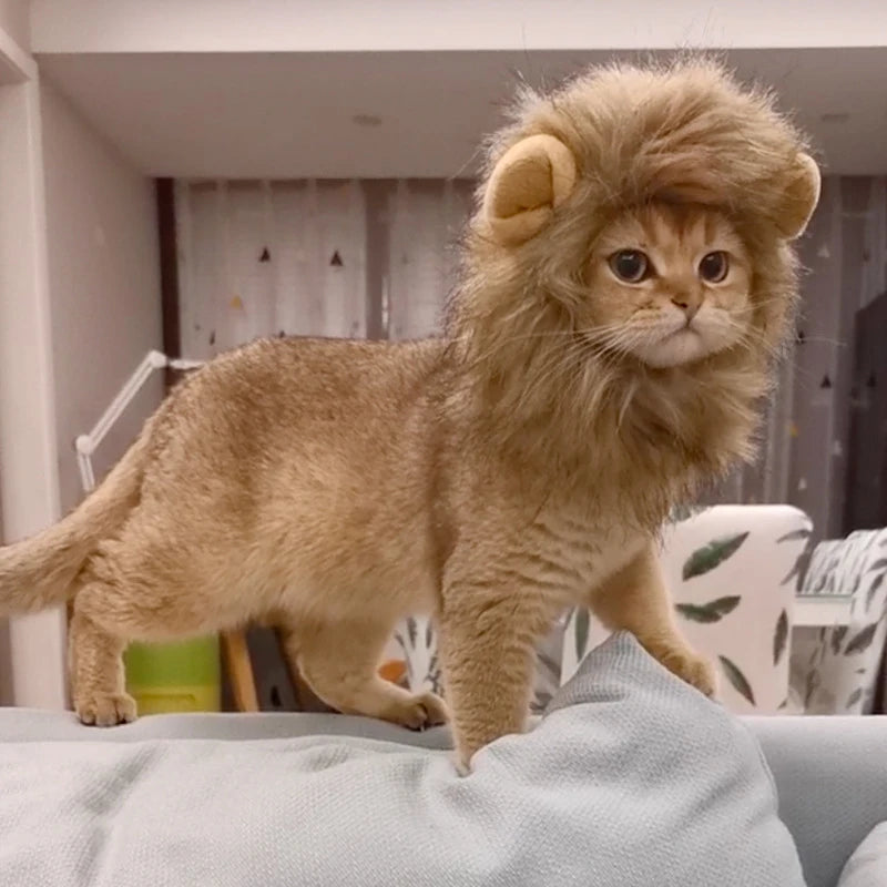 Lion Costume