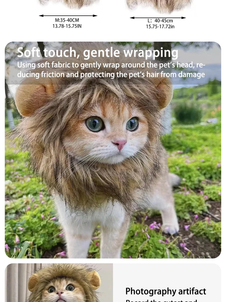 Lion Costume