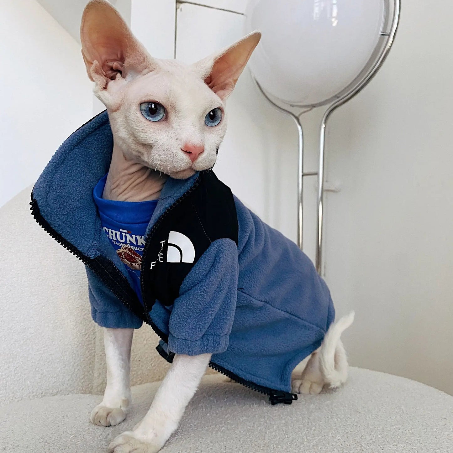 The Cat Face - Jacket