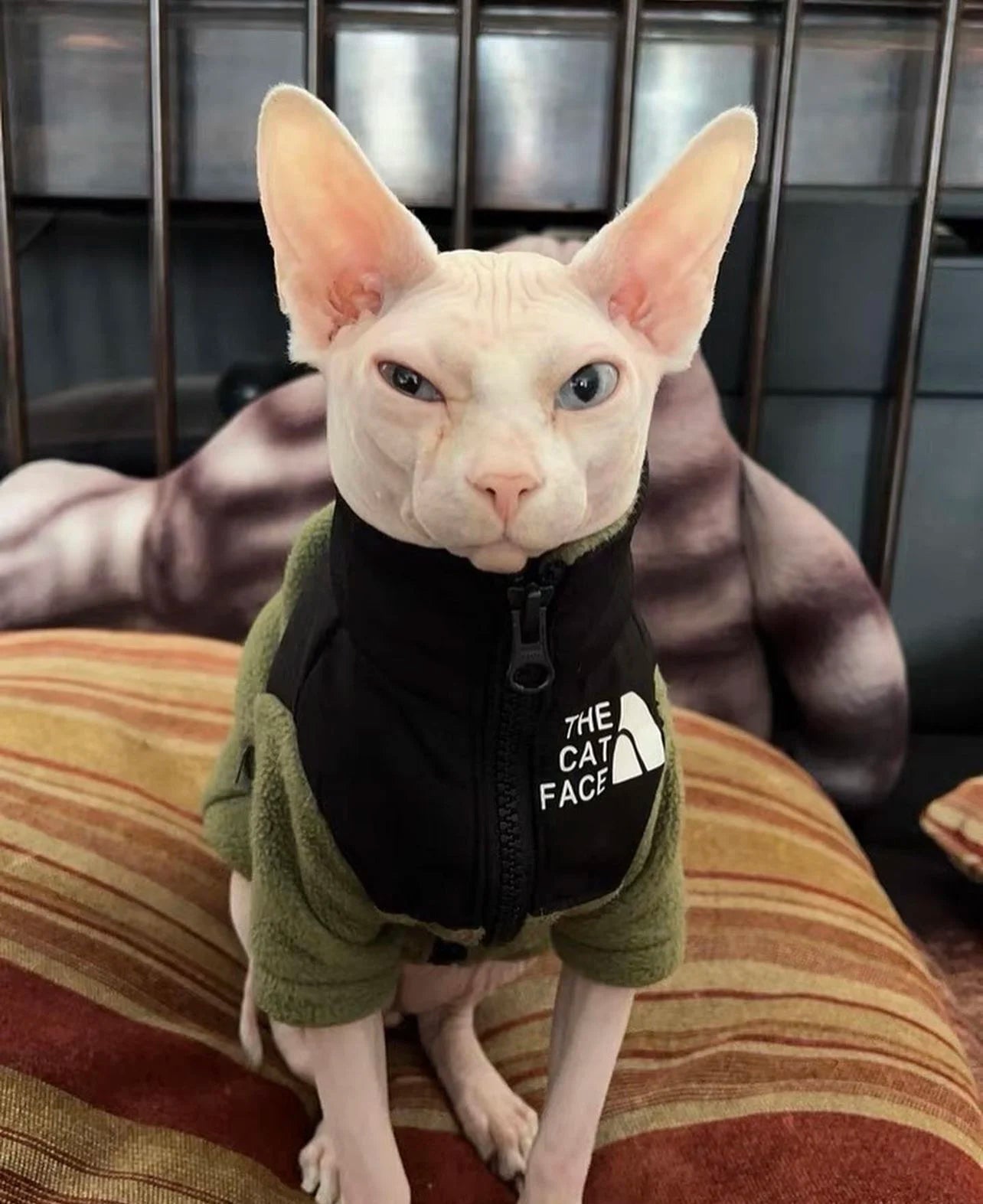 The Cat Face - Jacket