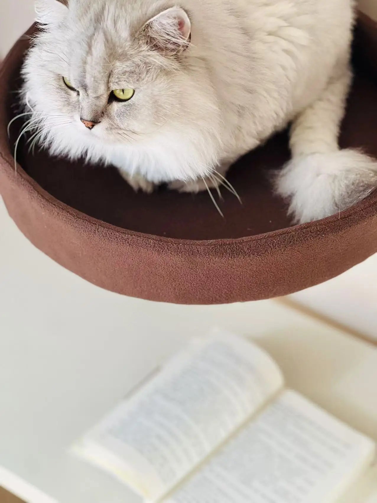 Desk Cat Bed