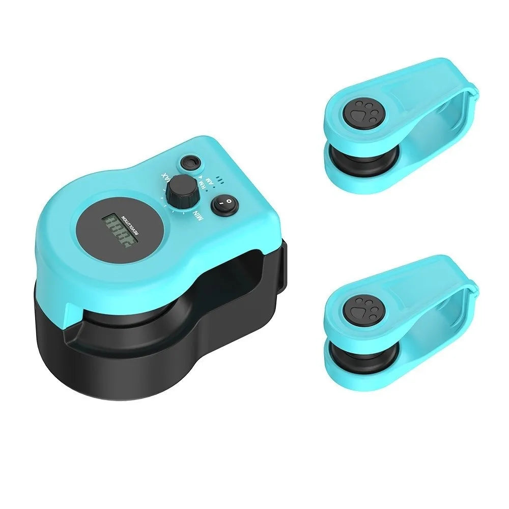 Interactive Chase Toy