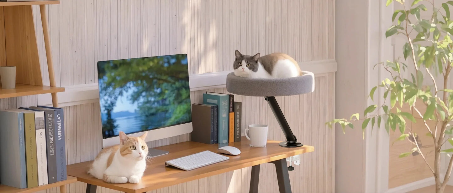 Desk Cat Bed