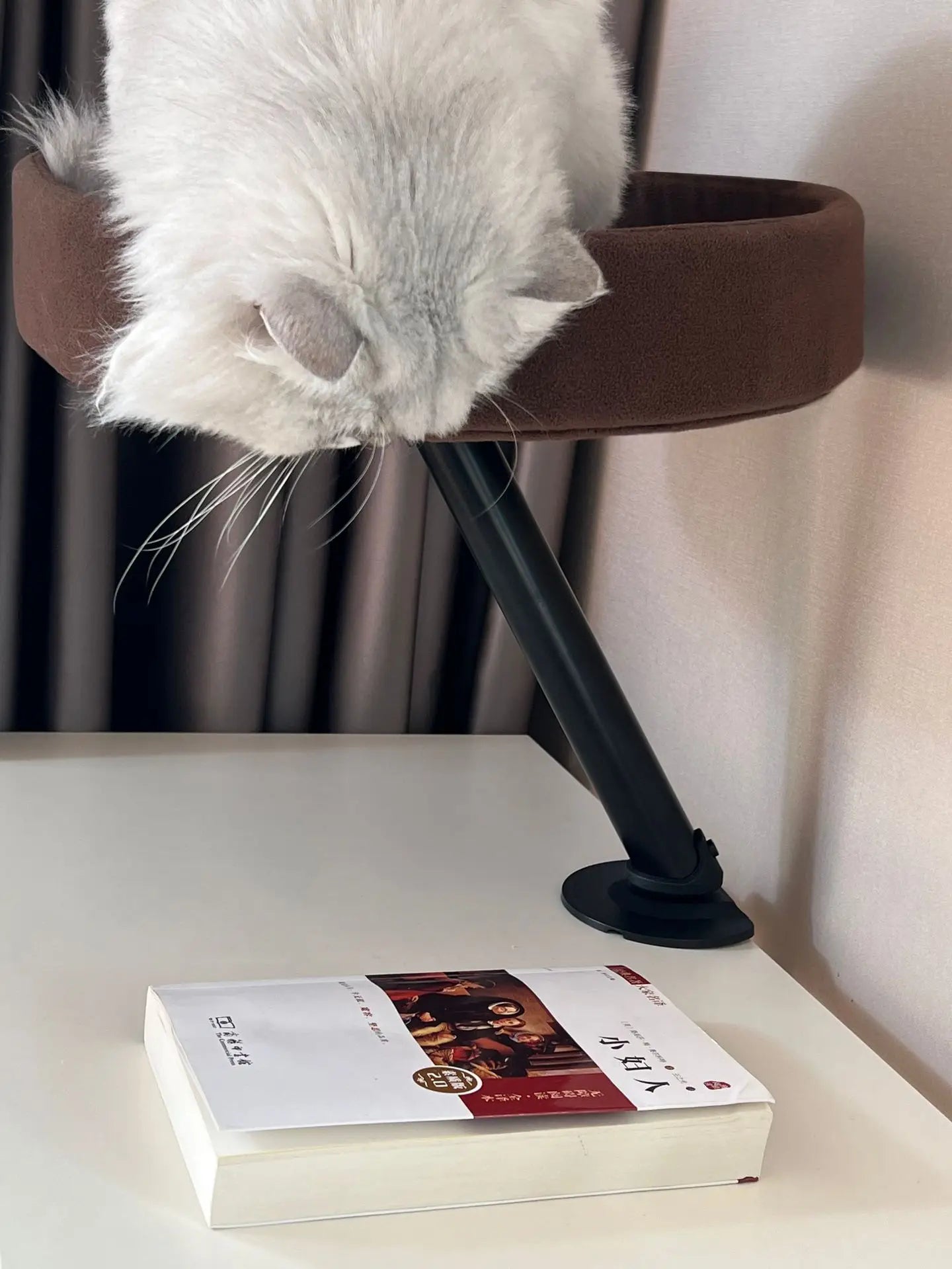 Desk Cat Bed