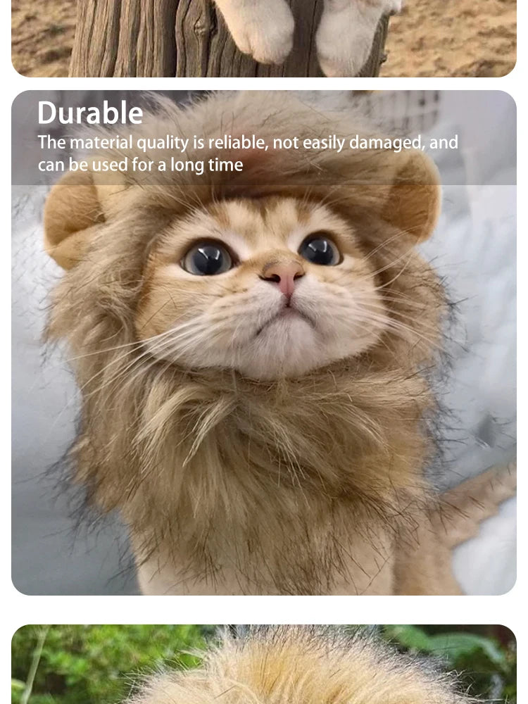 Lion Costume