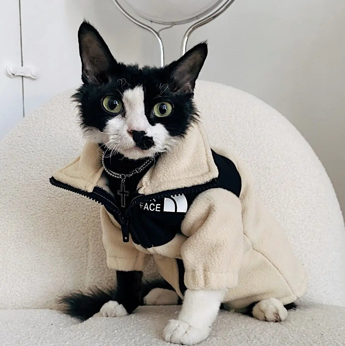 The Cat Face - Jacket