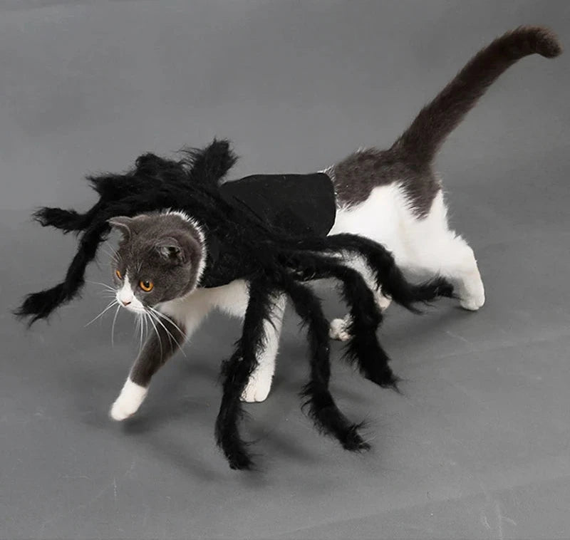 Spider Costume