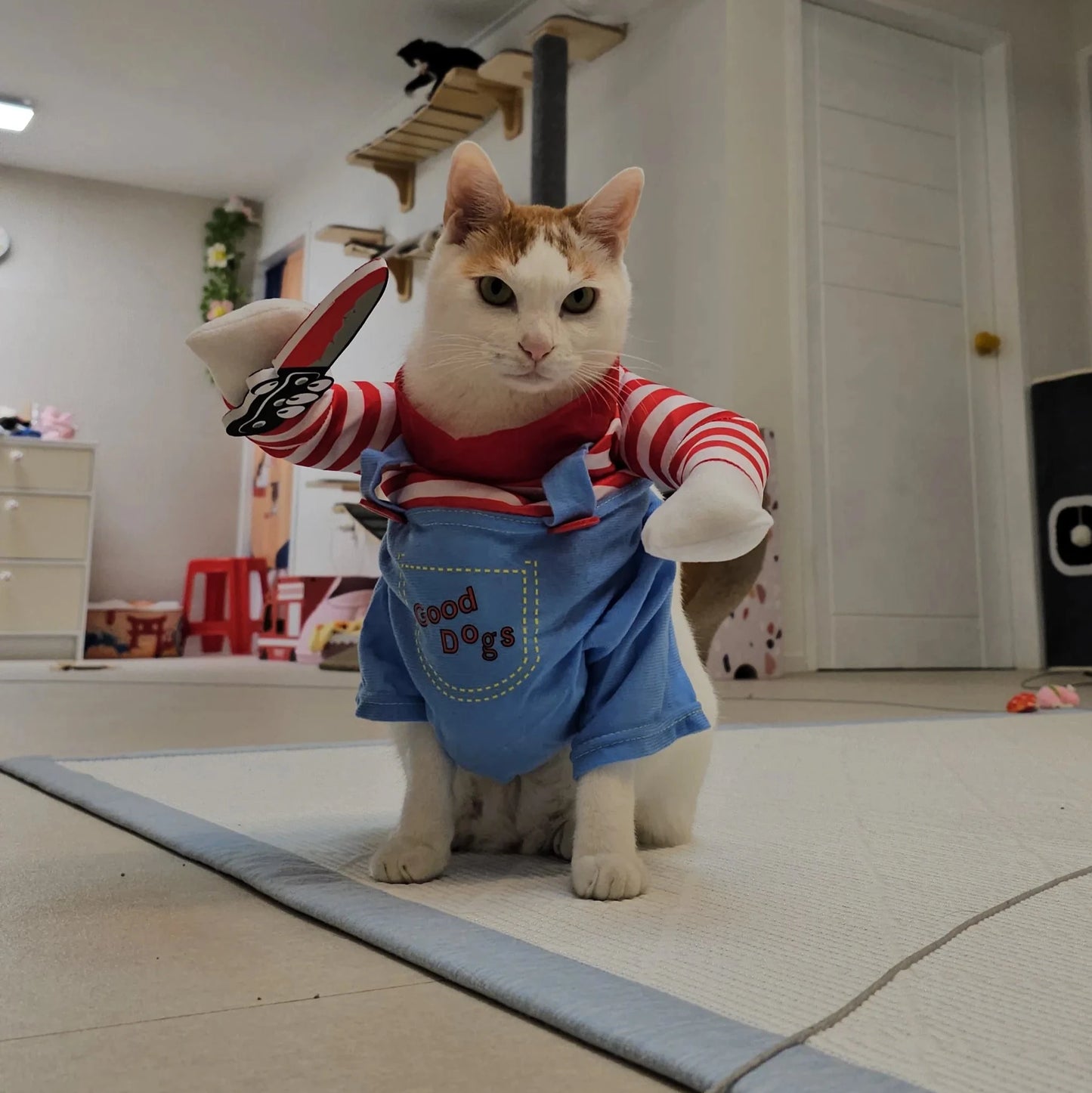 Chucky Costume Halloween