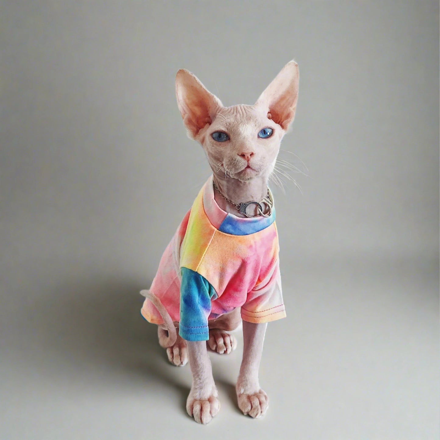 Sphynx Rainbow T-Shirt