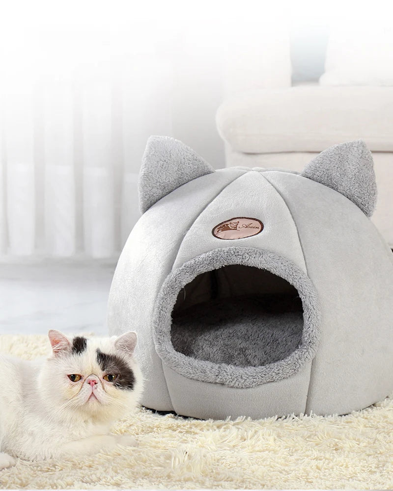 Comfortable Cat House