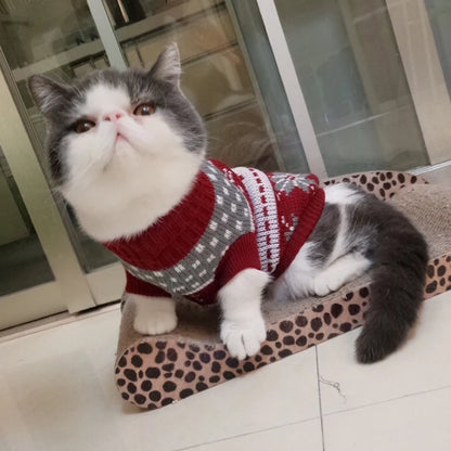 Cozy Winter Cat Sweater