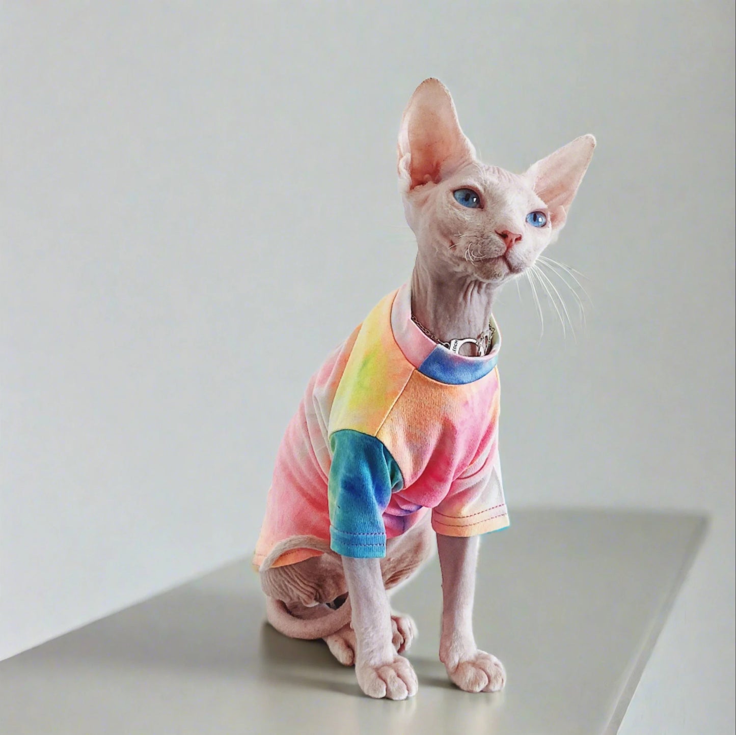 Sphynx Rainbow T-Shirt