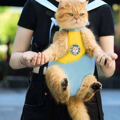 Cat Chest Carrier