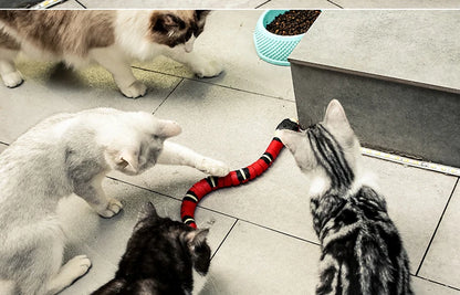 Interactive Snake Toy