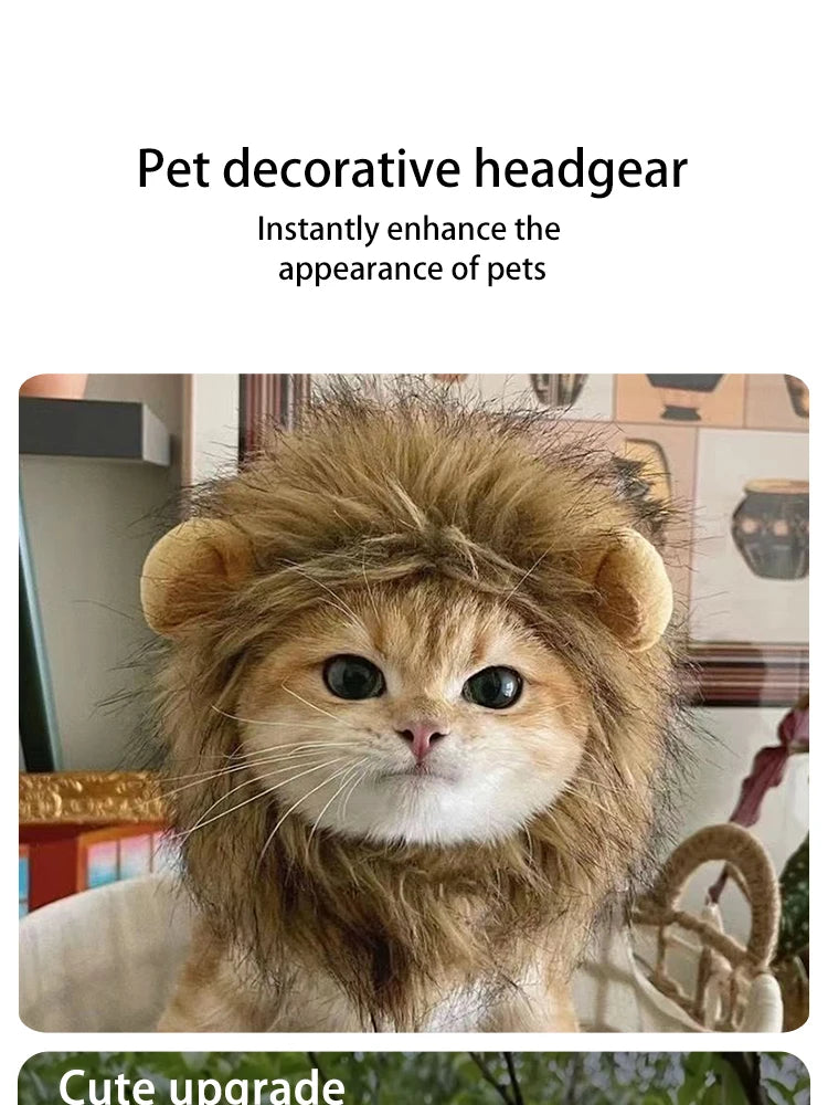 Lion Costume