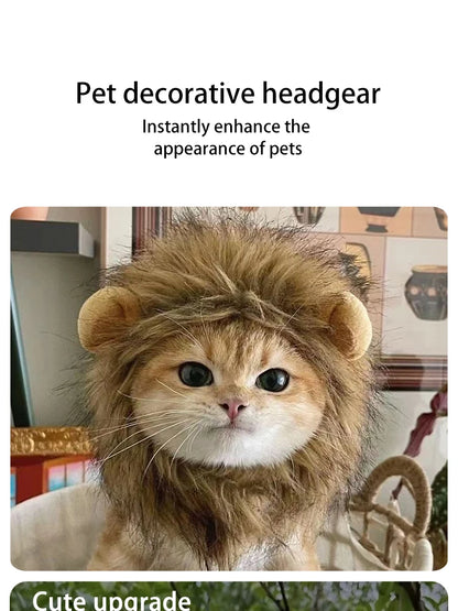 Lion Costume