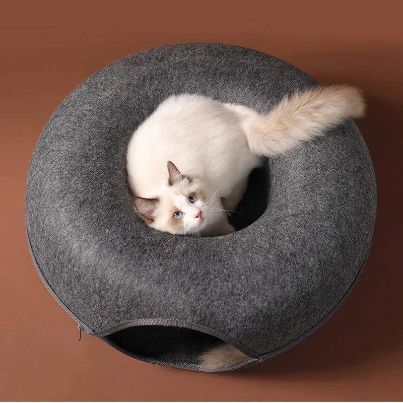 Donut Cat Tunnel