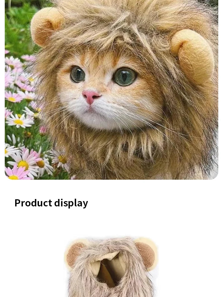 Lion Costume