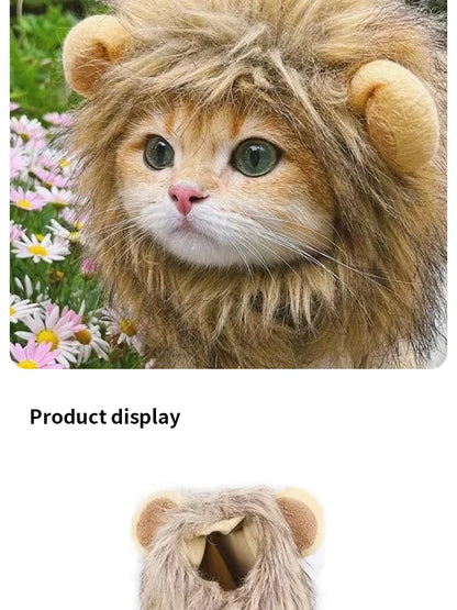 Lion Costume
