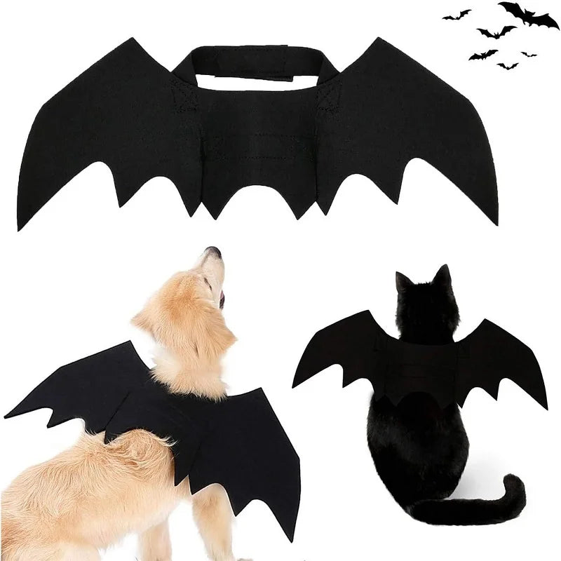 Bat Wings Suit