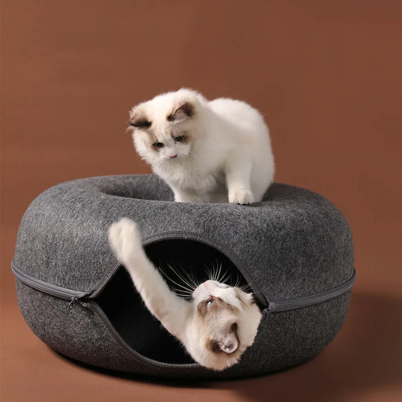 Donut Cat Tunnel