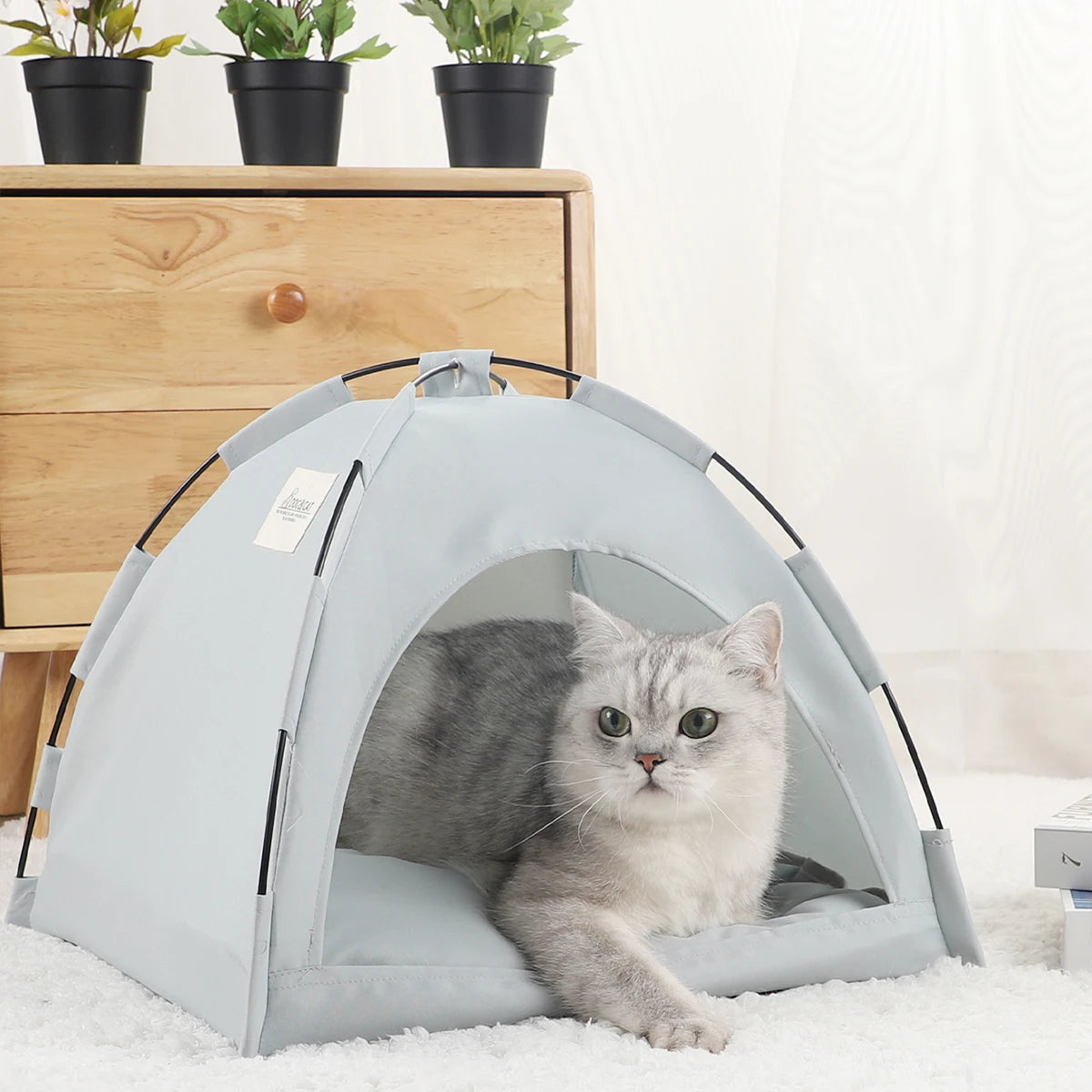 Cat Tent