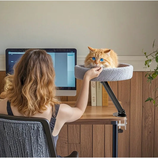 Desk Cat Bed