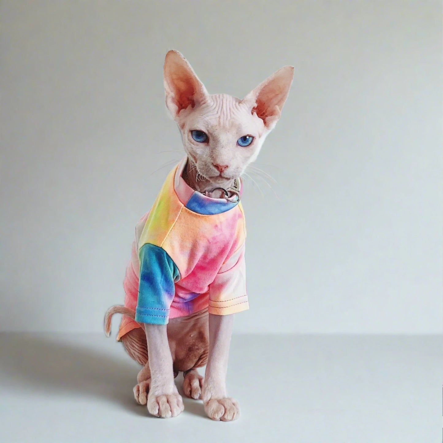 Sphynx Rainbow T-Shirt