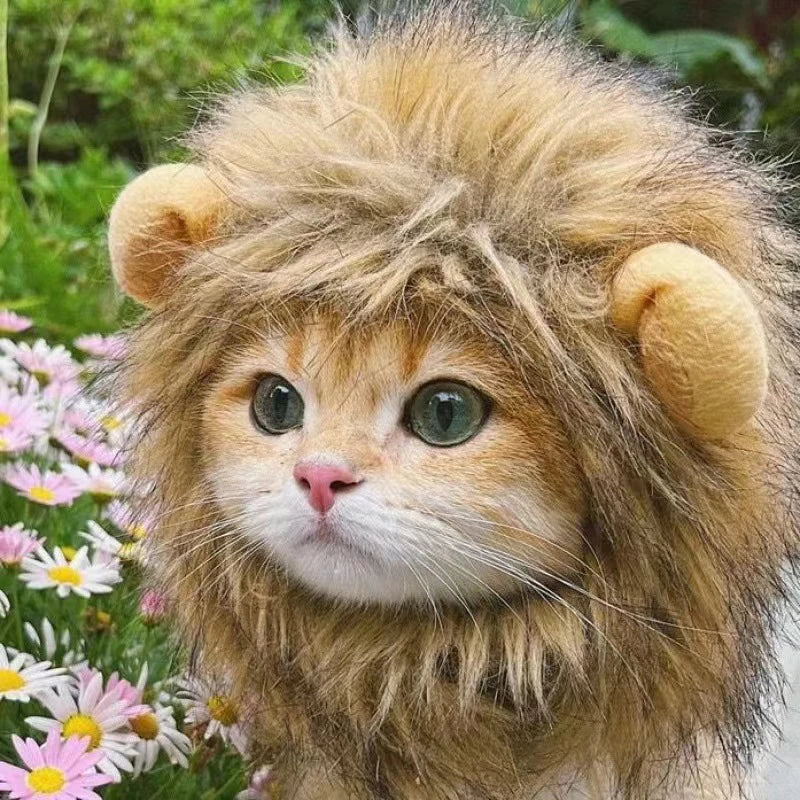 Lion Costume