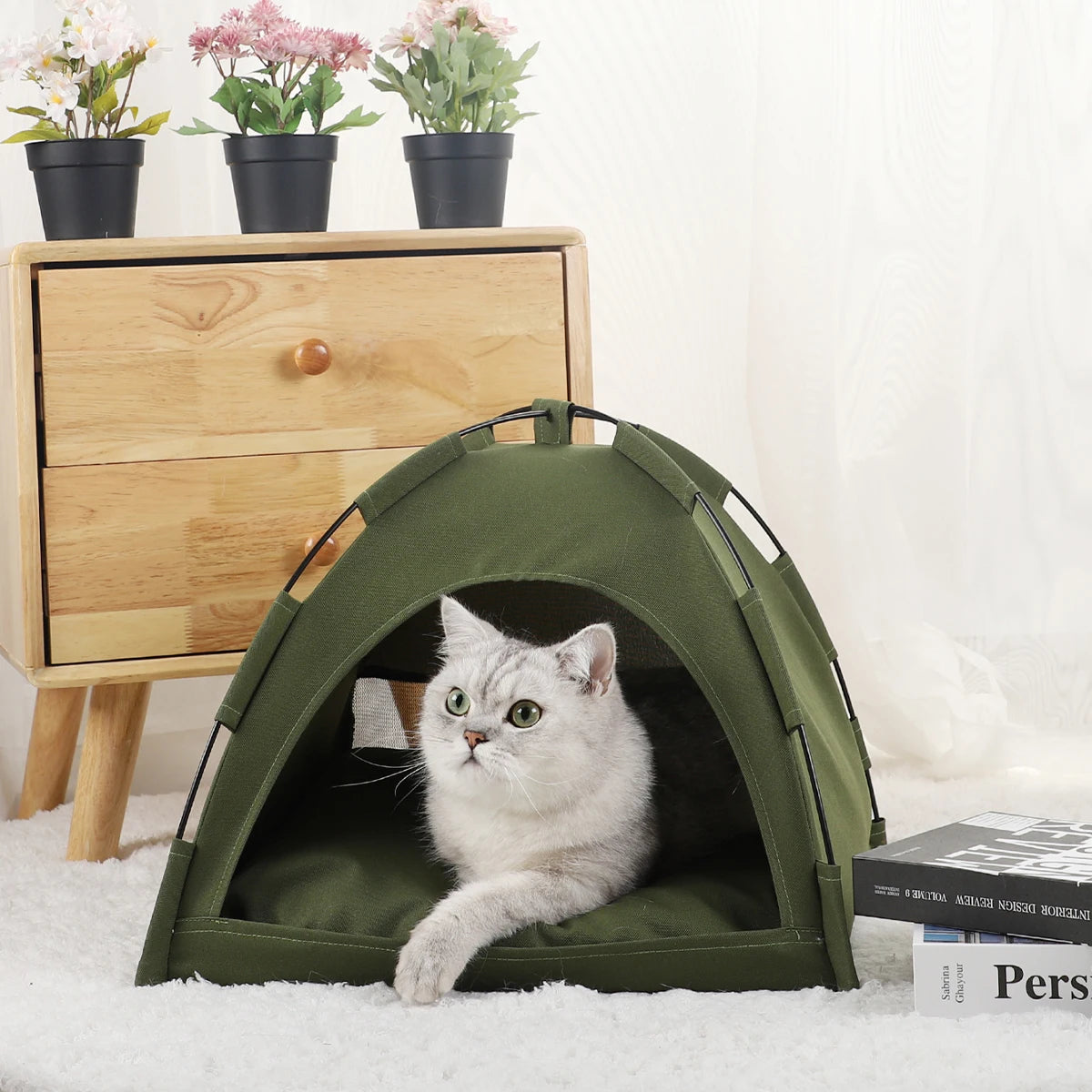 Cat Tent