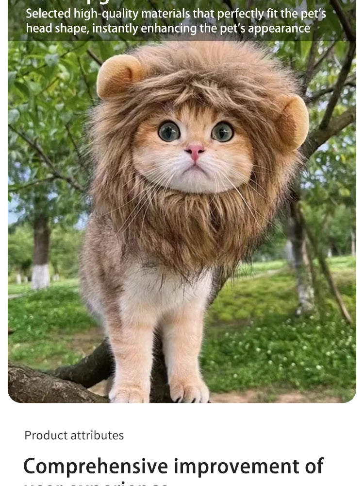 Lion Costume