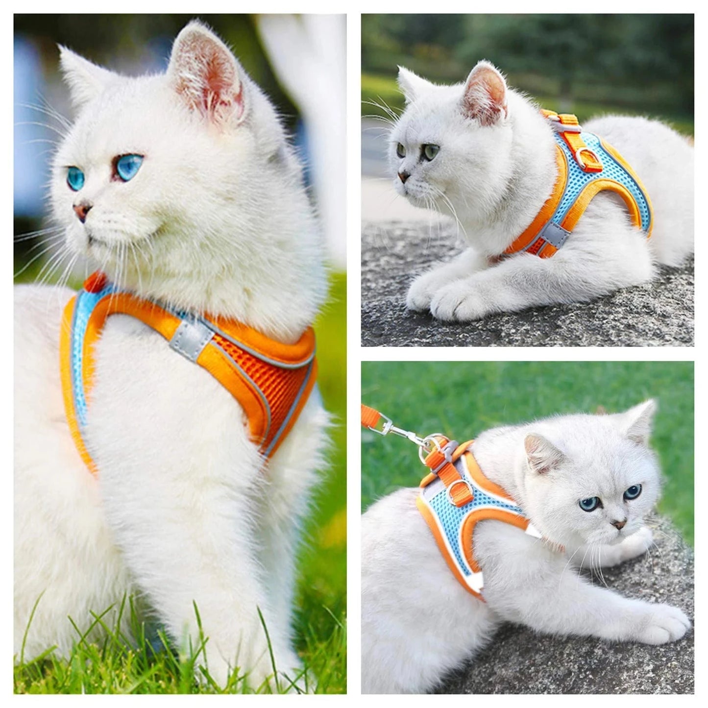 Cat Harness with Leash