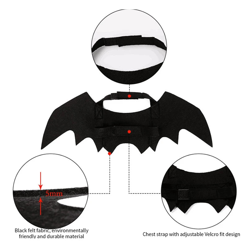 Bat Wings Suit