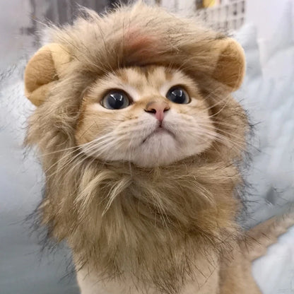 Lion Costume