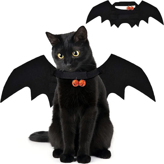 Bat Wings Suit