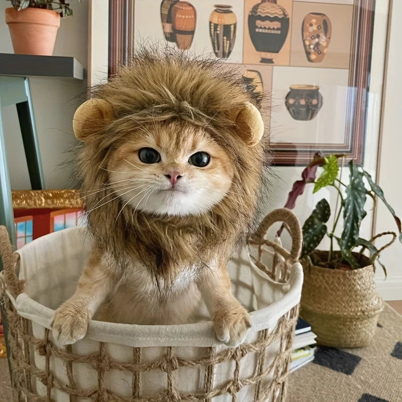 Lion Costume
