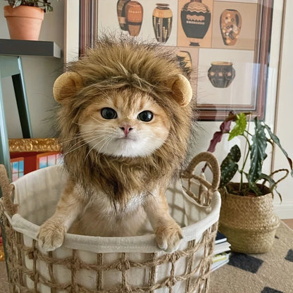Lion Costume