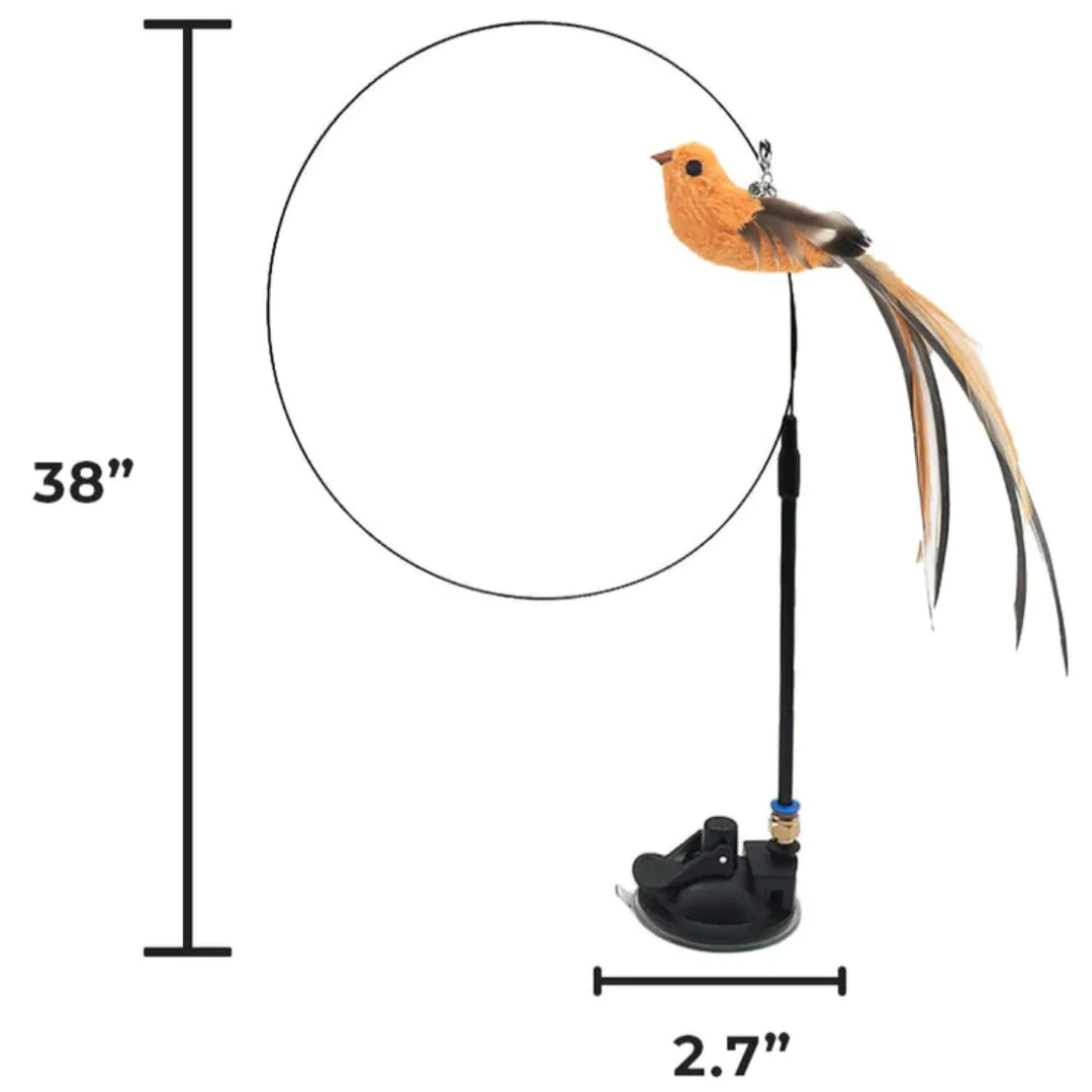 Bird On Stick Toy