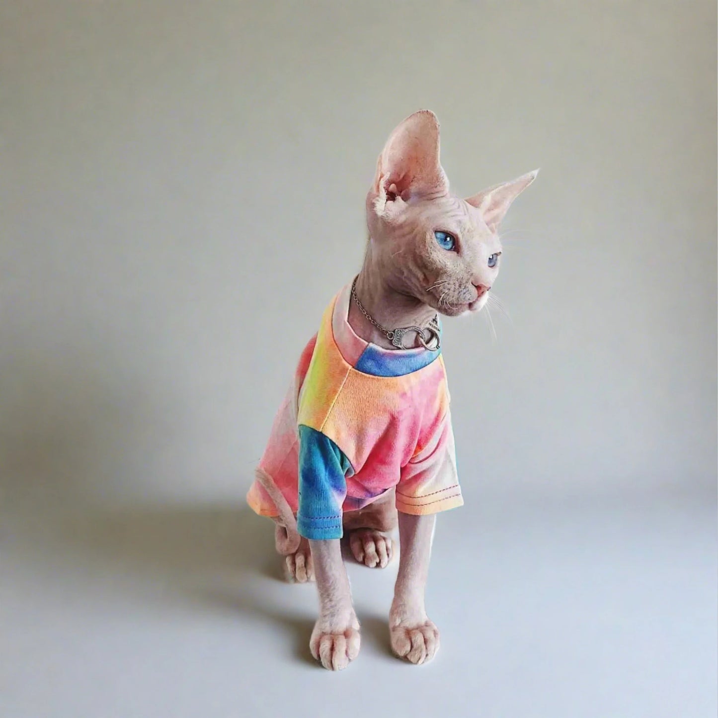 Sphynx Rainbow T-Shirt