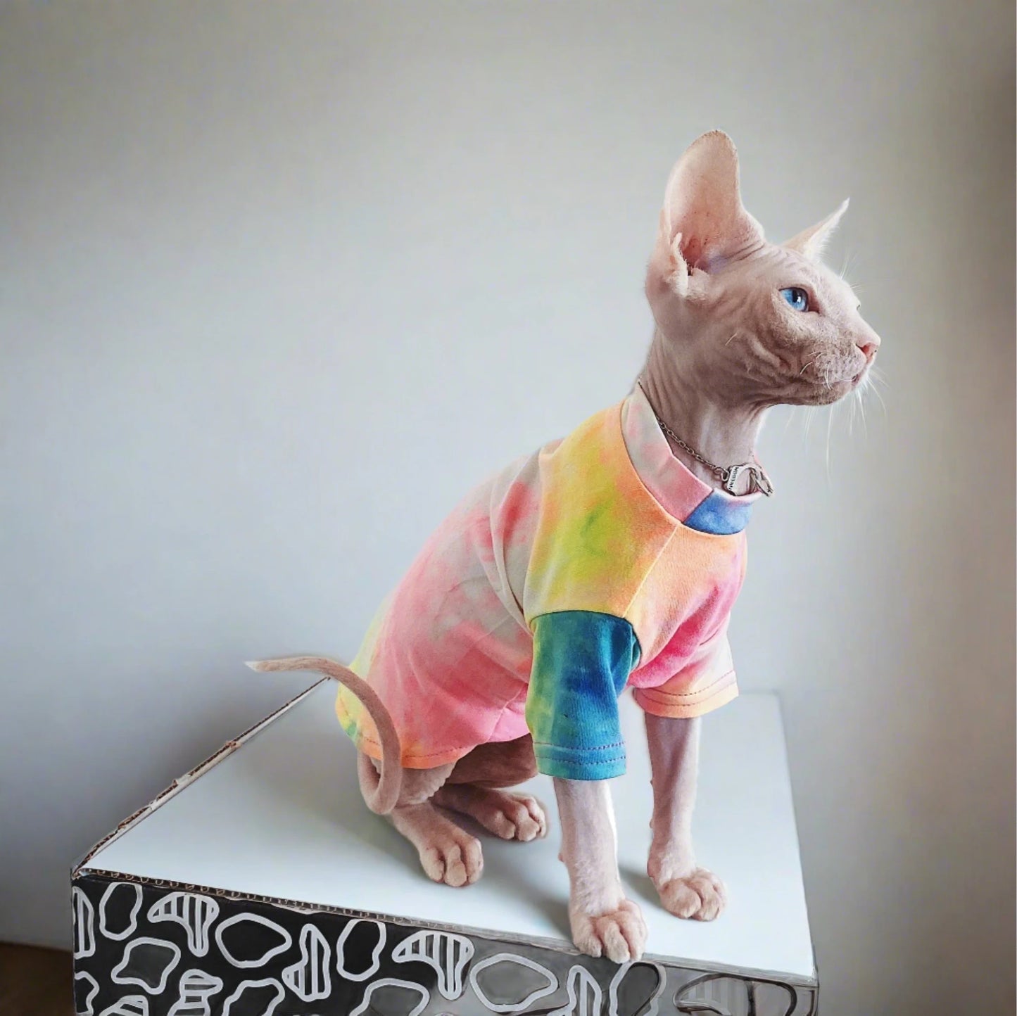 Sphynx Rainbow T-Shirt