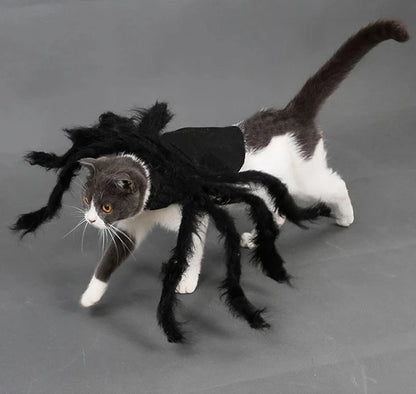Spider Costume