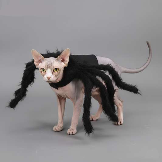 costume image